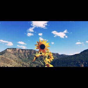 Meet your Posher, Danica